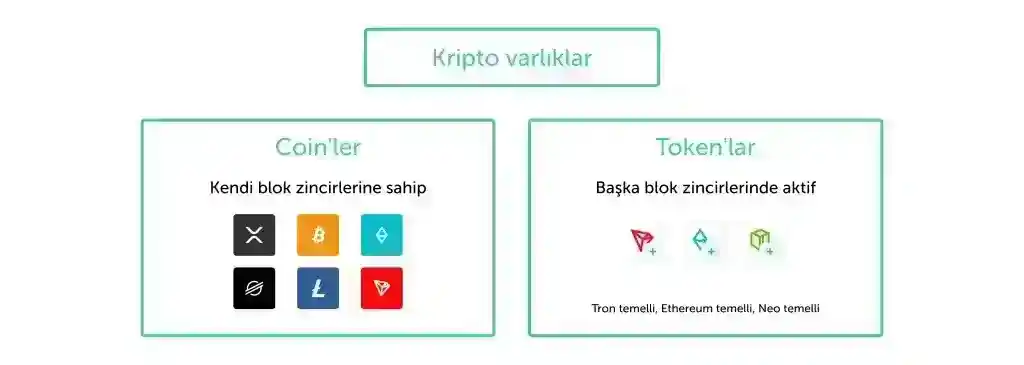 Coin ve Token Nedir? Arasındaki Farkı Anlamak İçin Tam Bir Rehber