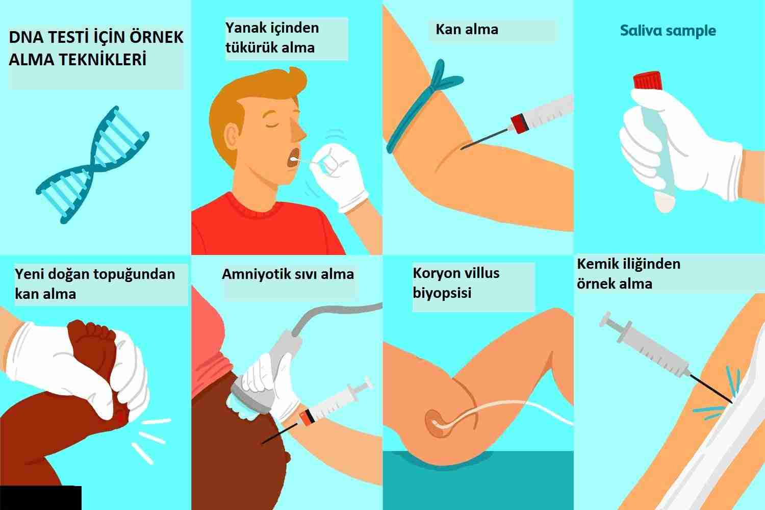 DNA Nasıl Çalışır? - Genetiğin Gizemli Dünyasına Yolculuk