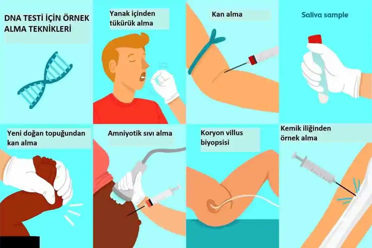 DNA Nasıl Çalışır? - Genetiğin Gizemli Dünyasına Yolculuk