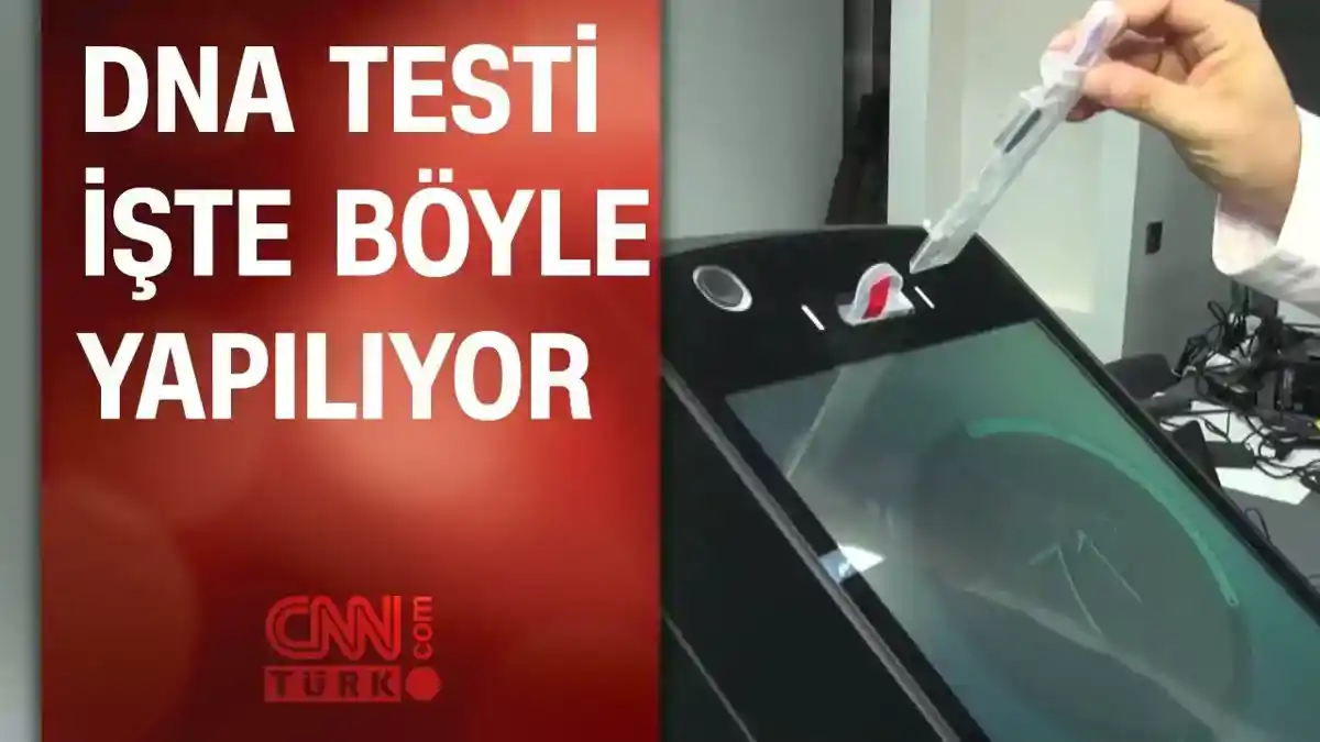 DNA Testi Nasıl Yapılır? - Kapsamlı Rehberiniz