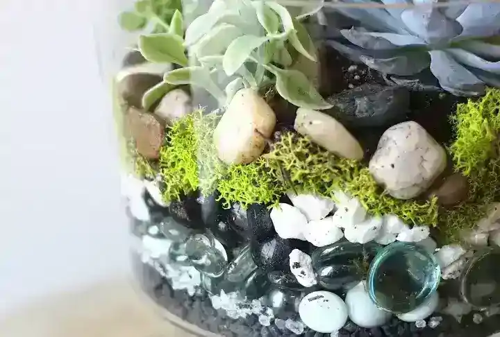 Evde Bitki Bakımı Nasıl Yapılır? Tam Bir Rehber!