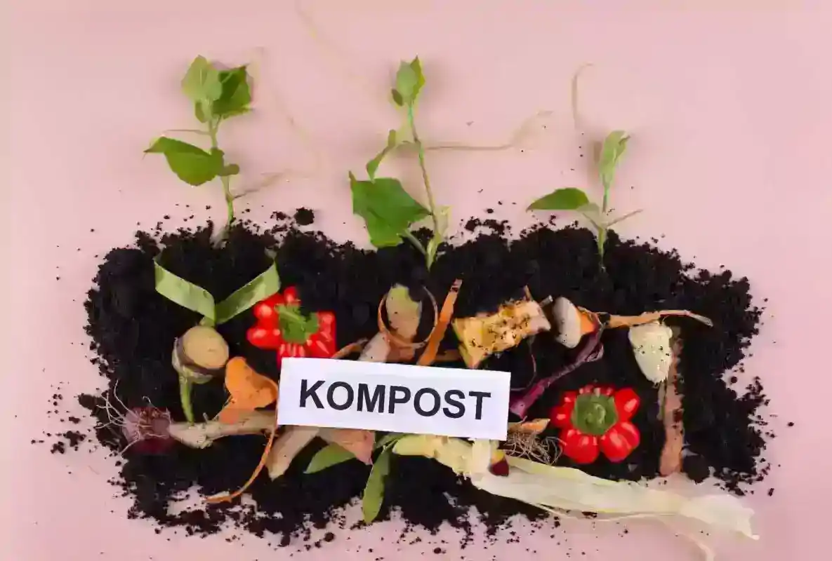 Evde Kompost Oluşturma Adımları - Adım Adım Tam Rehber