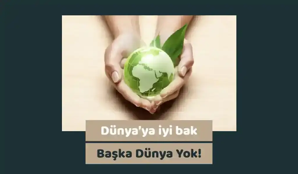 İklim Değişikliği: Bireysel Olarak Yapabilecekleriniz