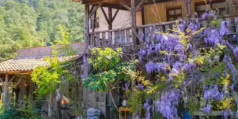 Tarım ve Köy Turizmi: Türkiye'nin Doğal Yaşamı