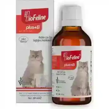 Tüy Döken Kedinize Çözüm Bulun! - Kapsamlı Rehber