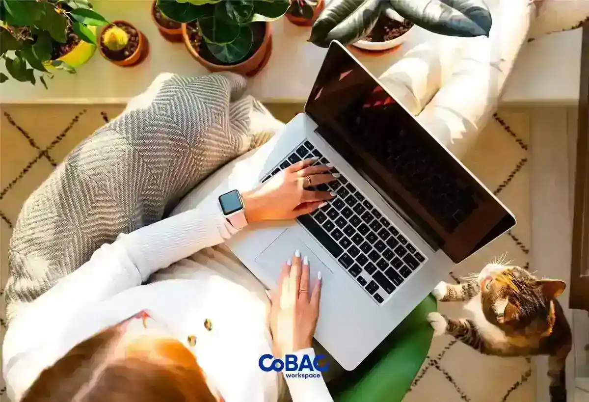 Uzaktan Çalışma: Verimlilik İçin İpuçları - Başarıya Giden Yol