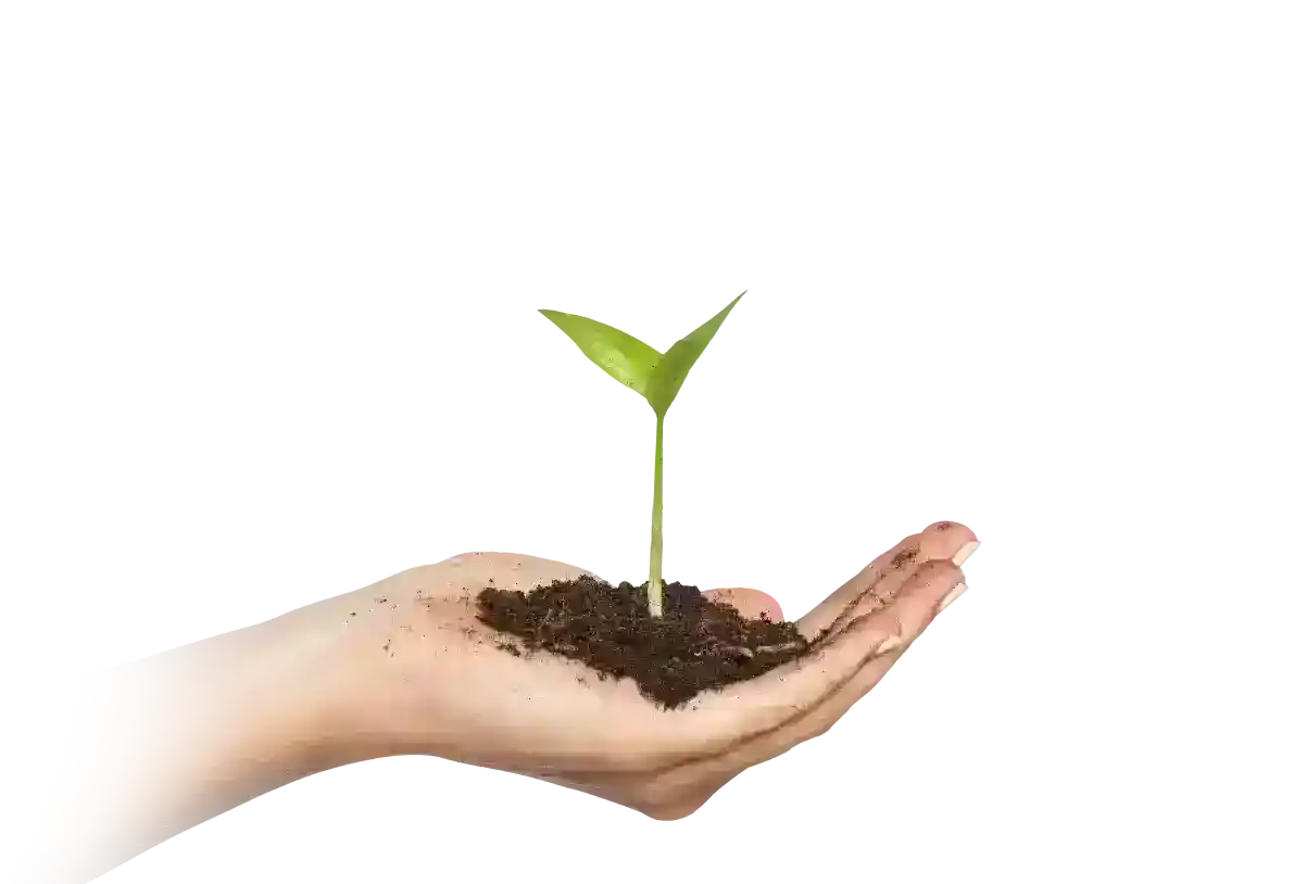 Yeni Başlayanlar İçin Kırsal Yaşam: Kendi Kendine Yetme Rehberi