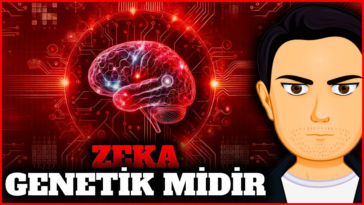Zekâ Genetik mi Sonradan mı Gelişir? - Kapsamlı Bir İnceleme