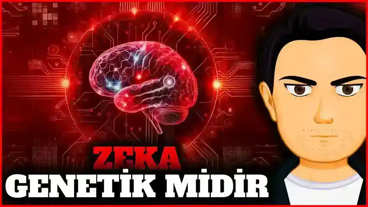 Zekâ Genetik mi Sonradan mı Gelişir? - Kapsamlı Bir İnceleme
